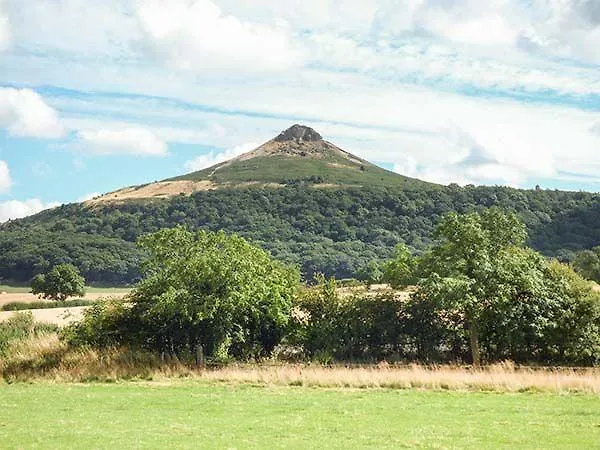 Wren'S Nest Cottage Guisborough United Kingdom